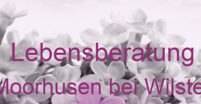 Lebensberatung Moorhusen bei Wilster | Top-Experten für Kartenlegen, Wahrsagen, Hellsehen, Zukunftsdeutung. Lebensberatung Moorhusen bei Wilster | Top-Experten für Kartenlegen, Wahrsagen, Hellsehen, Zukunftsdeutung.